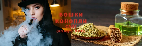 гашик Богданович