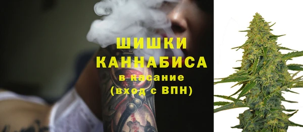 сатива Богородск