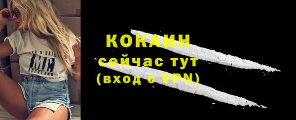 сатива Богородск
