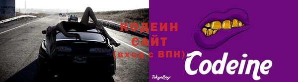гашик Богданович