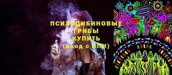 COCAINE Богородицк