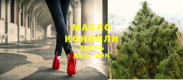 гашик Богданович