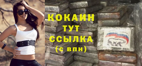 гашик Богданович