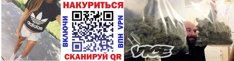как найти   Нижний Тагил  МАРИХУАНА SATIVA & INDICA 